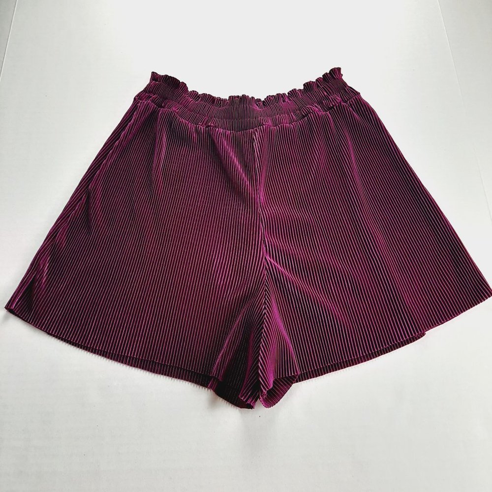 Zara Womens Pleated Crinkle Shorts Size Small Purple High Rise Smocked Waist